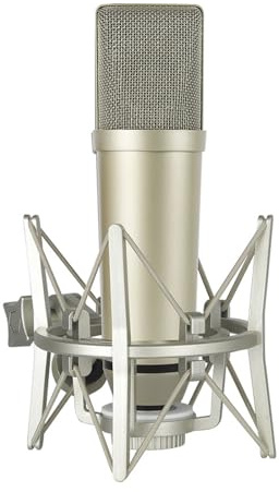 Hkfgdjdl Micrófonos de condensador de estudio profesional con diafragma de metal para capturas de sonido claras
