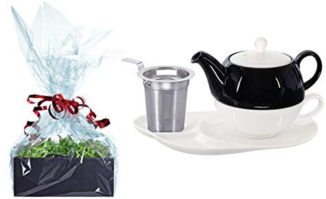 Buchensee Tee Geschenk Set, Tea for One mit Sieb Lena 500ml aus Porzellan. Teekanne + Teetasse + Untertasse mit Ablageflächen + Sieb