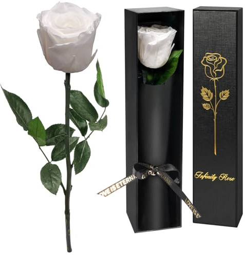 Yamonic Ewige Rose Geschenke für Frauen,Infinity Rose mit Stiel Geburtstagsgeschenk Frauen, Echte Rose in Geschenkbox Geschenke für Mama,Konservierte Blume Geschenk Valentinstag,Weiße Rose
