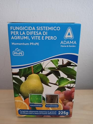 Fungicida Sistemico | Fosetil-Alluminio PFnPE | Concentrato