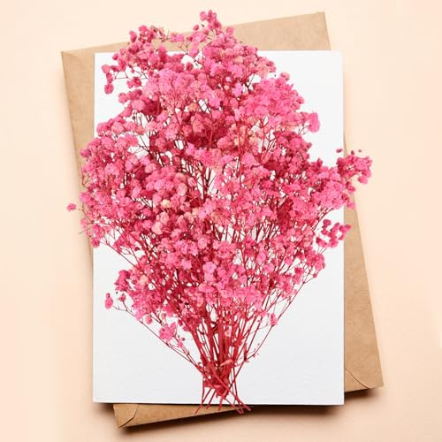 Flores secas de gypsophila, Flores secas de gypsophila Rosa para Manualidades, Scrapbooking, joyería, Decoraciones Florales