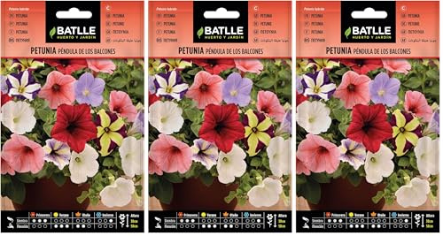 Semi di Fiori – Petunia Pendula dei Balconi – Batlle (Confezione da 3)