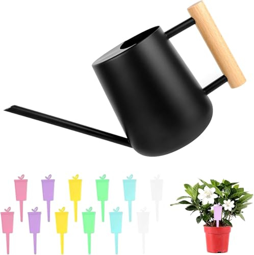 1L Regadera Pequeña, Regadera de Acero Inoxidable para Jardín, Regadera con Caño Largo y Cómodo Mango de Madera, Regadera para Plantas