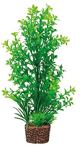 Hobby 51535 Flora sten 6