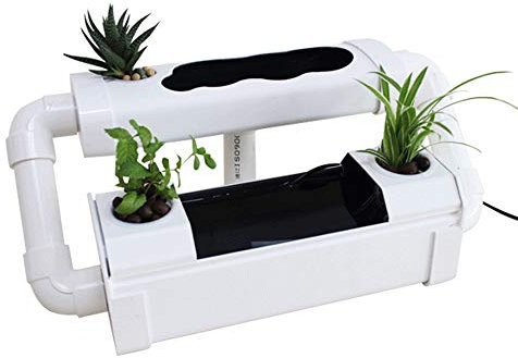 VIDOO Creative Soilless Hydroponic Growing & Fish Tank Aquaponic System Kit Water Garden Microfarm Aquarium