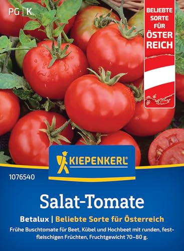 Kiepenkerl Salat-Tomatensamen Betalux 1076540, Gemüsesaat | Gemüsesamen für eine frühe Buschtomate, Fruchtgewicht von 70-80 g, Inhalt für 15 Pflanzen, Wuchshöhe 80-100 cm