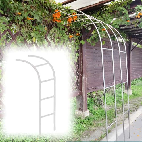 Demi-arche en métal zingué pour jardin - Treillage robuste pour fête de mariage - 70 x 240 cm - Arche de jardin décorative pour roses et événements
