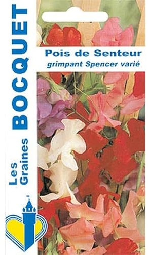 Sachet de graines de Pois de senteur grimpant Spencer varié - 6 g - fleur annuelle - LES GRAINES BOCQUET