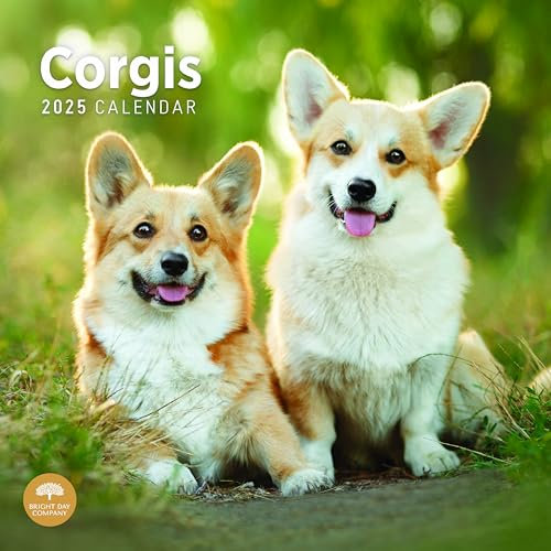 Bright Day Monats-Wandkalender 2025, 30,5 x 30,5 cm, niedliches Geschenk für Hunderassen