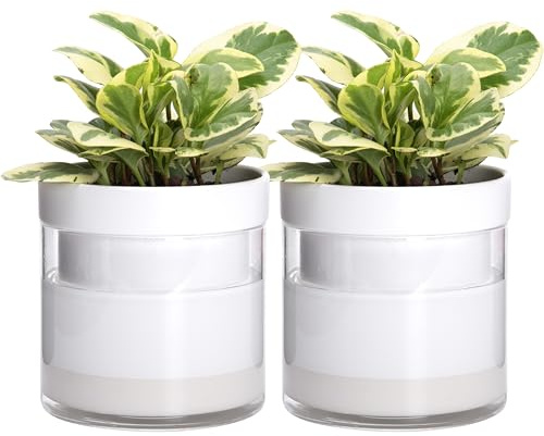 Phoenix Vine 15 cm självvattnande planterare, vit terrakotta lerkruka med glasbehållare för inomhusväxter, örter, blommor, set med 2, 52-B-F-2
