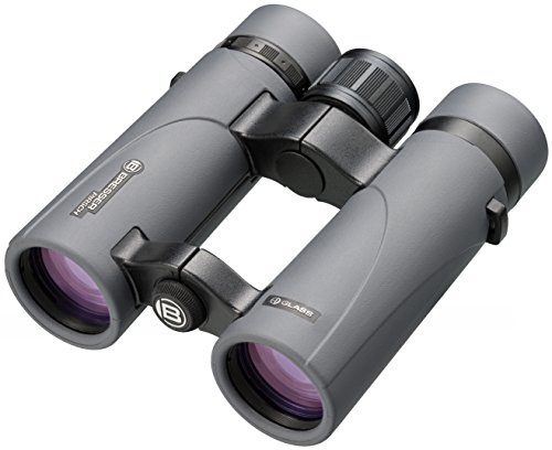 Bresser Pirsch ED 8x34 Bresser Pirsch ED 8x34 Fernglas mit hochwertiger Phasenvergütung für eine hellere und kontrastreichere Abbildung | 8 fache Vergrößerung, 440 g leicht, für Brillenträger geeignet, ED Glas, Phasenvergütung, Dielectric Vergütung, Argonfüllung