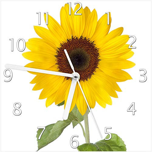 Wallario Design-Wanduhr Sonnenblume aus Glas, Motiv-Uhr Größe 20 x 20 cm, weiße Zeiger