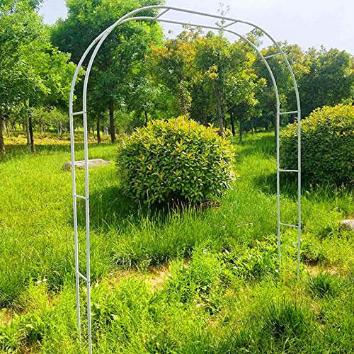 GLFNB Gartenbogen 1,2 x 2,2 m, 3,5 x 2,2 m, robuster Gartenbogen, Rosenbögen aus Metall, Spalier für Pergolen und Laubengänge für Hochzeiten, Rohrdurchmesser: 19 mm, Farbe: Schwarz, Weiß, Grün, Ei