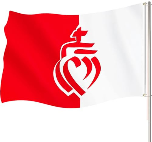 Drapeau Vendée Department Flag 90x150cm Drapeau de la Province de Vendée avec 2 boutons en laiton Drapeaux décoratifs pour l'intérieur et l'extérieur Convient Pour les Festivals et Les Célébrations