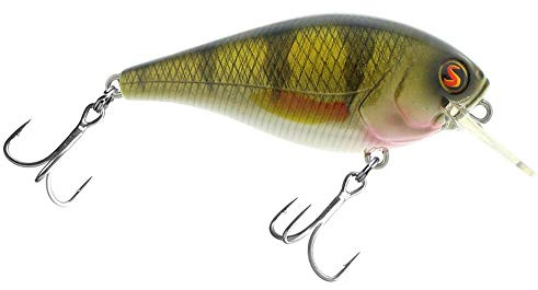 Biggie Poppa 67 Rattle - Fast Floater - Wobbler / Crankbait ++Pro-Angler Köder aus den USA++, Real Perch