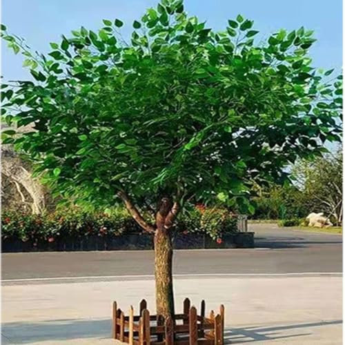 DPDZSW Plantas Artificiales De árbol De Higuera De Bengala, árbol De Higuera De Bengala De Simulación Grande, árboles De Higuera De Bengala Verdes Artificiales,1x1m
