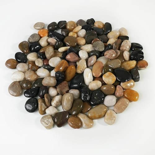 StoneCreek, pietre di fiume di grandi dimensioni, 5,4 kg, pietre decorative da giardino per l'abbellimento delle piante, ciottoli di ghiaia lucidata per la decorazione della casa, vasi, piante grasse
