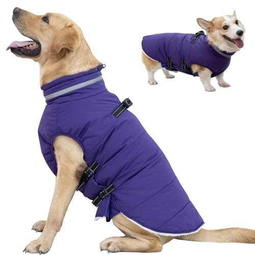 Mklhgty Large Dog Coat with Harness Built-in, Waterproof Reflective Fleece Lined - Warm Windproof Winter Jacket with Back Zipper, Cold Weather Snow Dog Coats - Purple - XL