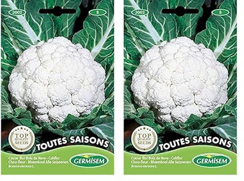 Germisem Toutes Saisons Semillas de Coliflor 2 g (EC3002) (Paquete de 2)
