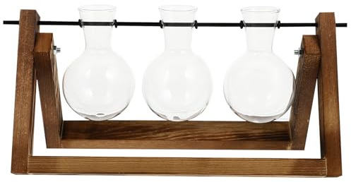 NUOBESTY Desktop Glass Planter Bulb Vase with Charcoal Wood Stand, Hydroponic Plant Holder for Tabletop and Home Office Decor