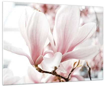 Moderno Quadro in Vetro 100x70 cm Stampe da Parete Botanica Fiori - 4538 | Ramoscello Magnolia Fiore Quadro Decorativo Grande Decorazione Murale Soggiorno Arte da Parete Decorazione da Parete ARTTOR