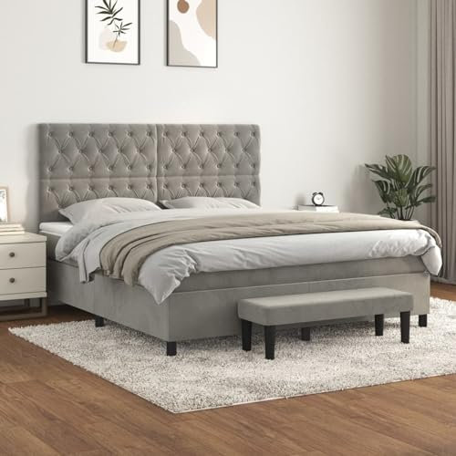 CIADAZ Boxspringbett und Matratze, hellgrau, 160 x 200 cm, Velours, Lattenrost, Lattenrost mit Füßen