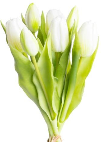 Botanic-Haus künstliches Tulpenbündel/künstlicher Tulpenbund Sandy Promotion mit 4 Tulpen und 3 Tulpenknospen Farbe: Creme-weiß