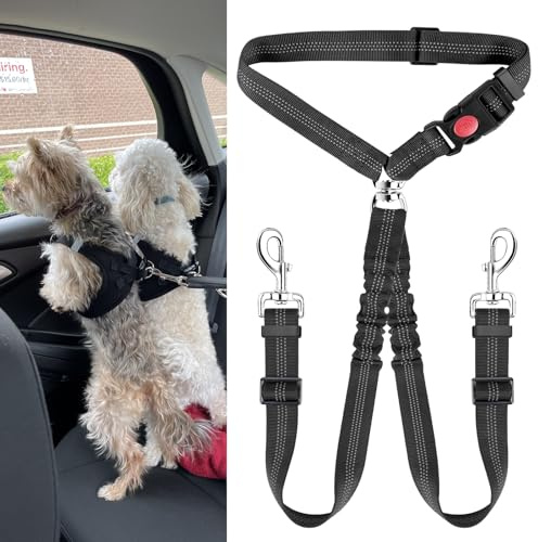 Cinturón Perro Coche, Arnes Elástico Duradero 2 en 1 Ajustable y Reflectante para Viajar con Dos Perros