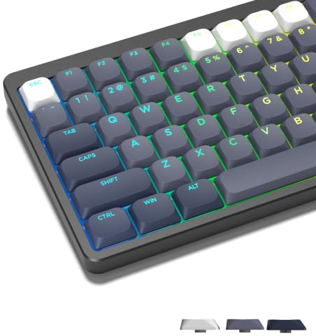 LQXQ Low Profile Keycaps 143, PBT Tastenkappen Shine Through, Grau/Weiß | für ANSI US 60% 65% 75% 80% 100% Cherry Gateron MX Schalter Mechanische Tastatur (ISO Nicht unterstützt)