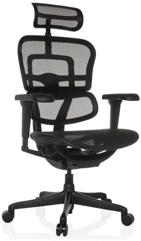 hjh OFFICE Bürostuhl ergonomisch ERGOHUMAN Signature GEN2 Originales Design, Bürosessel mit Flexibler Lendenwirbelstütze, Netzbespannung, Schwarz