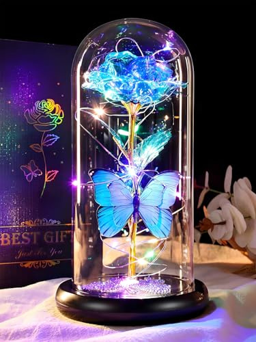 DEEMEI Mothers Day Birthday Gift for Mom from Daughter Son Blue Rose Eternal Flower Light Up Rose in Glass Dome with Butterfly, Mother's Flowers Gifts for Mom Women Wife Grandma Delivery Prime