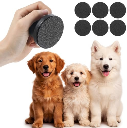 Lime à ongles pour chien avec 6 disques de limage remplaçables, planche à gratter pour chien pour un soin sûr et facile des ongles, le griffoir pour chiens et chats garantit des ongles lisses et sains