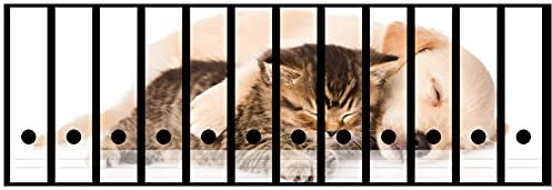 Wallario Ordnerrücken Sticker Katze und Hund in Harmonie - Kuschelnde Tiere - Rückenschilder für 12 breite Ordner, Klebeetiketten