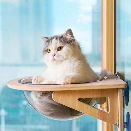 DELURA Katzenbettfenster,Katzenfenster-Hängematte,Fenstersitzstange,Raumkapsel Für Große Katzen