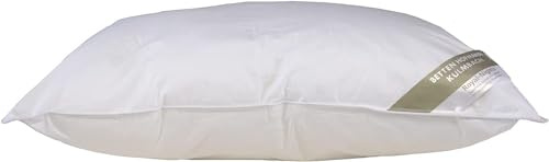 Betten Hofmann Bella Star Kopfkissen 60x70 Federkissen Kissen 20% Daunen 700 g strapazierfähig