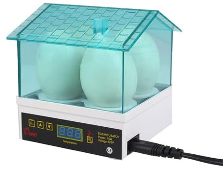 Kleiner Inkubator mit 4 Löchern, Eierbrüter, Mini-Entenbrutmaschine, Temperaturregelung, Brutapparat mit digitalem LED-Bildschirm für Geflügel