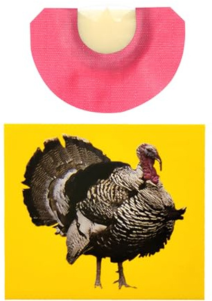 Vogel-Sound-Effekt-Pfeife, verrückte Pfeifen, Tiergeräusche | Krachmacher | Spielzeug in leuchtenden Farben - Fröhliche, ansprechende Geräuschmacher-Pfeifenspielzeuge für kreatives für