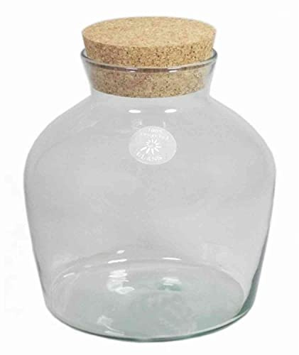 INNA-Glas Glasbehälter Dieter, klar, 25cm, Ø 9,5cm - Ø 24cm | Korkdeckel, Zylinder - Rund - Glasgefäß - Aufbewahrungsglas