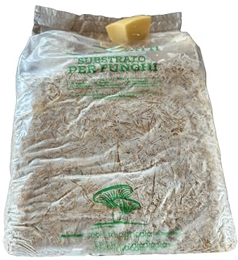 BERARDI | Kit coltivazione funghi cardoncelli, Made in Puglia, Varietà Pleurotus Eryngii, Balletta da 3 kg