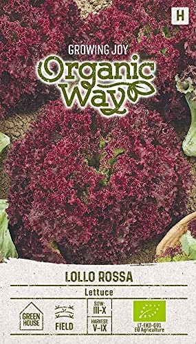 Organic Way | SALAT LOLLO ROSSA des Graines | Graines de Légumes | Graines de Plantes | Graines de Salade | Graines de Jardin | 1 Paquet