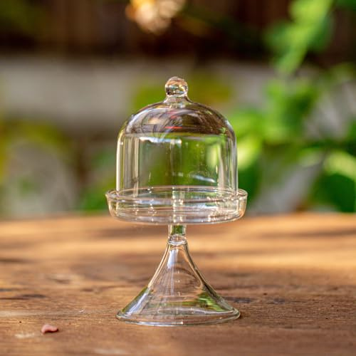 NCYP Mini 2.7 x 2.7 x 5 Inches Glass Bell Jar Dome with Stand and Tiny Cube Planter for Display Jewelry, Ring, Small Plants - Little Glass Cloche, Home Decor (Plants Not Included)