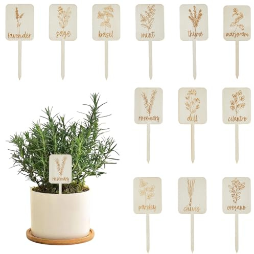 SOFPLATE 24 pz Etichette per Piante In Legno Etichette con Nomi di Piante Etichette In Legno Divertenti In Seta di Mais di Tipo T con Nomi Carini Motivi per Marcatori Da Giardino per Erbe Aromatiche p