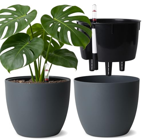 T4u Maceta de Autorriego 20 cm Pack de 2 con Indicador de Agua Gris | Riego reducido, control fácil del agua, raíces hidratadas, Pothos, Monstera, flores, hogar, oficina, ventana, principiantes