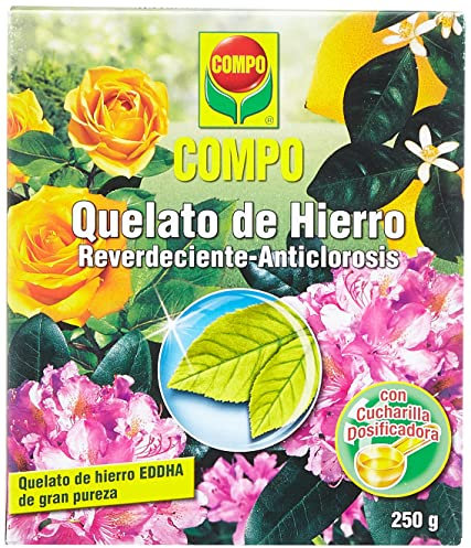 COMPO Quelato de hierro, Reverdeciente anticlorosis, EDDHA 13% Hierro soluble en agua, Incl. Cuchara dosificadora, 250 g