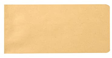 Flachbeutel Kraftpapiertüten, 100 Stück Kraft Umschlag Klein Kraftpapiertüten Mini Papiertüten Waren Butterbrottüten Pralinen Schmuck Samentüten Candy Tüten Mini Geschenktüten Papier-braun-22x11cm