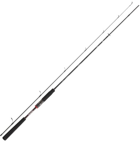 Daiwa Ballistic X Spin 2,40m 10-40g Spinnrute