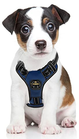 MASBRILL Hundegeschirr Einstellbare Anti Zug Sicherheitsgeschirre Reflektierend Brustgeschirre Weich Gepolstert Atmungsaktiv Hunde Geschirr für Große Mittlere und Kleine Hunde(Blau S)