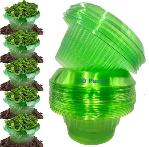 10 Colliers Protection Anti-escargots,Protections Anti-limaces,Protection Contre les Escargots,Protection contre les limaces et les escargots,Collier Anti limaces et Escargots,Fly Swats Tapette