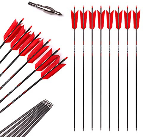 ACCMOS Spine 500 Bogensport Übungspfeil 33 Zoll 4 Feder Pfeil aus Reinem Kohlenstoff ID 6,2 mm Jagdpfeil, für Compoundbogen Recurve Bogen Schuss 12St (12pcs, Spine 500)