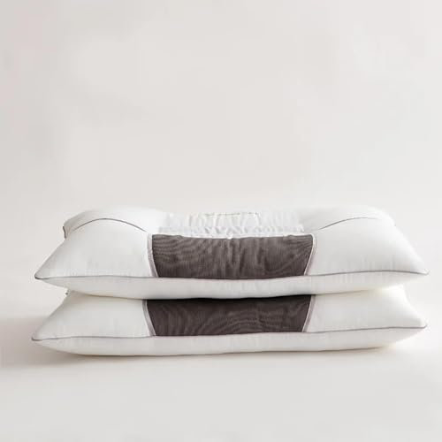 DZZTHSH Oreiller de Sarrasin sur Le Coton Biologique Oreiller Confort - Oreiller de Sommeil Doux, Oreiller de Soutien au lit Naturel pour Un Sommeil reposant